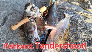 Santee Lakes Bfs Trout fishing Ifishband Tendershoot Drop Shotting for Trout [upl. by Rurik550]