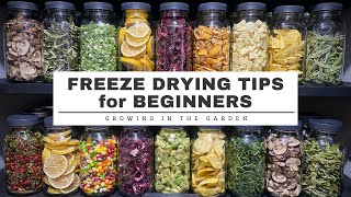 FREEZE DRYING tips for BEGINNERS plus Whats the DIFFERENCE between DEHYDRATING amp FREEZE DRYING [upl. by Ilbert]