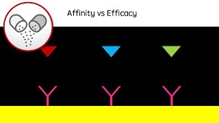 Affinity vs Efficacy  Drug action revision video agonists antagonists  GCSE A Level University [upl. by Allevon]