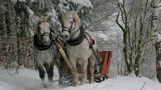 Stefan Hrusca  Colaj colinde  Christmas Music  Cantece de craciun [upl. by Ateloiv390]