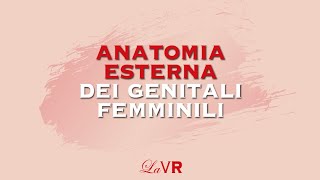 La Valigia Rossa presenta Lanatomia esterna dei genitali femminili [upl. by Ettecul]