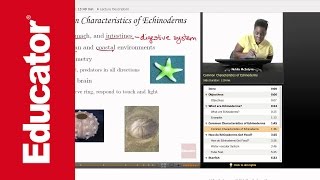 Life Science Echinoderms [upl. by Frye]