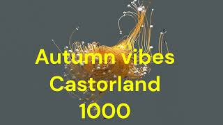 Puzzle Time Lapse Autumn vibes Castorland 1000 [upl. by Bullough]