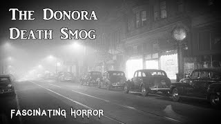 The Donora Death Smog  A Short Documentary  Fascinating Horror [upl. by Ahsercal674]