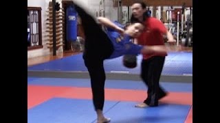 How To Do a Wheel Kick  Spin Kick  CyberDojangcom Hwa Rang Do® [upl. by Edee918]