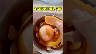 Preparare gli agrumi nel Gin 🍊gin agrumi bartender agricoltura [upl. by Acsicnarf]