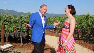 JeanCharles Boisset Interview  How did you get into this wine business [upl. by Eitsyrc219]