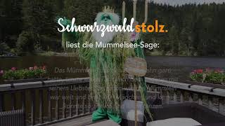 Mummelseegeist Hermann Müller  Schwarzwaldstolz [upl. by Pihc]