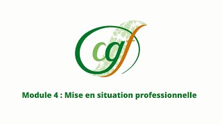 Module 4  Mise en situation professionnelle [upl. by Dragon]