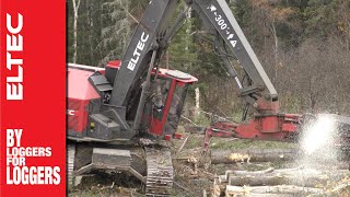 Eltec Feller Buncher 317 [upl. by Barth967]