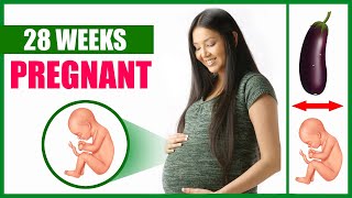 28 Weeks Pregnant – Baby Movement and Baby Size Position [upl. by Luba]