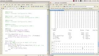 MATLAB Help  File IO using fopen [upl. by Er921]