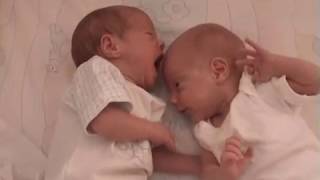 Twin babies 20 days old  funny fight [upl. by Rebel997]