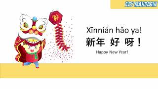 Xinnian Hao Ya  Happy New Year Mandarin Chinese Kid Song [upl. by Otrebogir746]