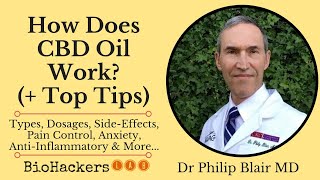 How Does CBD Oil Work • Dr Philip Blair MD [upl. by Renita]