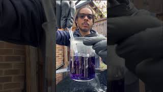 Making a pH indicator from red cabbage 🥬 science experiment chemistry [upl. by Nikolaus]