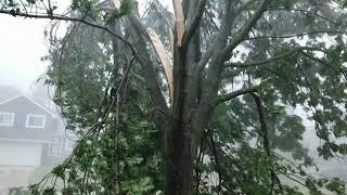 Derecho Storm 100 mph wind in Marion Iowa  Aug 10 2020 [upl. by Ignaz618]