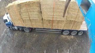 JCB loading straw lorry [upl. by Aihsatan]