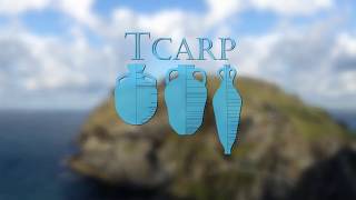 Tintagel Castle Archaeology Research Project  TCARP [upl. by Adnirak]