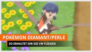 Pokémon Strahlender Diamant amp Leuchtende Perle VM Fliegen finden [upl. by Swec]