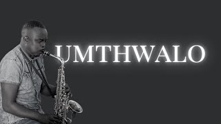 Umthwalo  Zahara  Saxophone Cover [upl. by Vincenta]