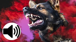 ANGRY Dogs Barking Sound Effect [upl. by Engedi50]