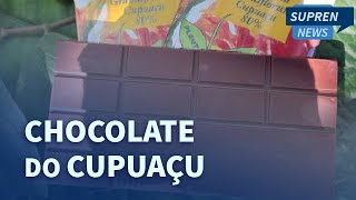 Chocolate feito de cupuaçu pode se tornar o próximo grande “motor econômico” da Amazônia [upl. by Nahtanaoj921]