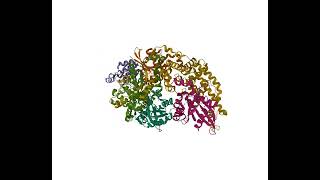 The Structural Basis for Cdc42Induced Dimerization of IQGAPs [upl. by Odo]