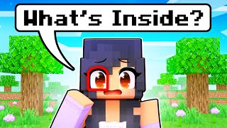 Whats Inside APHMAUS EYES In Minecraft [upl. by Anayd]