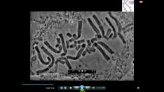 Classification of Bacteria Antibiotics  Lecture 1 [upl. by Auqinal531]