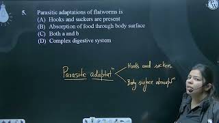 Parasitic adaptations of flatworms is [upl. by Prebo365]