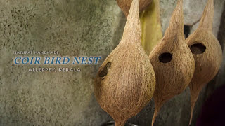 Coir Bird Nest  Alleppey Kerala [upl. by Elkraps724]