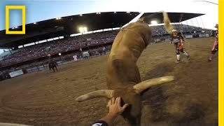 Rodeo Bullfighters Grab Life by the Horns  National Geographic [upl. by Eteragram]