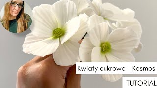 Kwiaty z masy cukrowej  Jak zrobić jadalny Kosmos  Onętek z masy cukrowej  tutorial [upl. by Toll936]