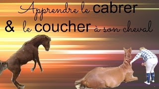 Apprendre le cabrer amp le coucher à mon cheval [upl. by Yenroc]