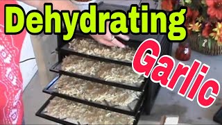 Dehydrating Garlic is easy to do [upl. by Elin635]