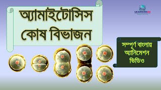 অ্যামাইটোসিস কোষ বিভাজন  Amitosis cell division  Bangla Animation Video  Learning24 [upl. by Oswald]