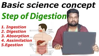 Step of digestion Ingestion  Digestion  assimilation absorption  egestion [upl. by Gregrory]