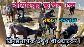 খামারের ছাগলকে বছরে কতবার ক্রিমিনাশক ঔষধ খাওয়ানো প্রয়োজন। [upl. by Adni784]