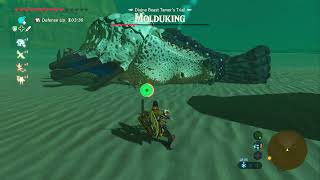 Zelda BOTW  Killing Molduking [upl. by Innep]