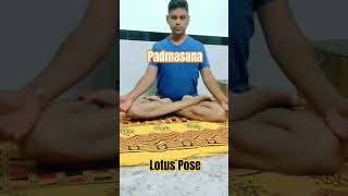 Padmasana Yoga l Lotus Pose l How to do Lotus Pose l Yoga for Calms the Brain l Daily Yoga l [upl. by Nenney]