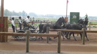 Dobrovitz József HUN CH M A4 Alltech FEI WEG Caen Normandy FRA 2014 Marathon O 1 06 09 2014 [upl. by Kaycee]