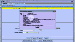 CAAAREM3 Tutorial Pedimento Normalmp4 [upl. by Ssegrub598]