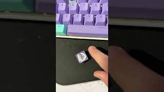 How to make a blue switches keyboard sound thocky for FREE [upl. by Artamas252]