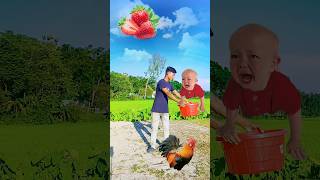 4 September 2024Flying crying babies Catching vs hen parrot amp puppy vs yellow lizardfunny shorts [upl. by Aniled]