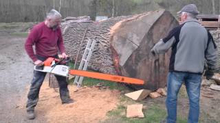 Stihl ms 880 150cm vs big oak log [upl. by Nhepets991]