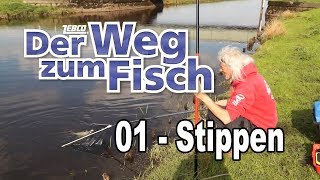 Der Weg zum Fisch  Teil 01  Stippangeln  Angeln lernen mit Jörg Ovens [upl. by Esinrahs]