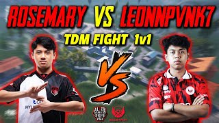 TDM FIGHT 1v1 AERosemary VS BTRLeonnpvnk7 [upl. by Asertal]