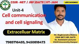 Extracellular matrix  Fibronectin  Laminins  Adhesive proteins  Cellular communication  L2 [upl. by North764]