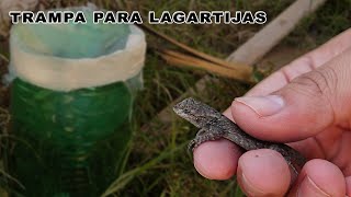 Increíble Trampa Para Capturar IGUANAS y lagartijas Automática Casera TUTORIAL  YMX supervivencia [upl. by Bertila]